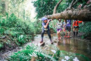 BIB: 
                            <button type="button" onclick="openModal(25478814)" class="btn btn-primary btn-sm float-right btn-popup" data-toggle="modal" data-target=".modal-high-quality">
                        <i class="fas fa-shopping-cart"></i> Add to Cart
                    </button>
                                            <button type="button" onclick="isThisMe(25478814, true)" class="btn btn-success btn-sm float-right btn-popup btn-isme hidden" data-toggle="tooltip" data-placement="bottom" title="นี่คือรูปของคุณใช่ไหม คลิกที่นี่เพื่อเอาเข้าอัลบั้ม">
                        <i class="fas fa-plus"></i> Add to album
                    </button>
                    <button type="button" onclick="isThisMe(25478814, false)" class="btn btn-warning btn-sm float-right btn-popup btn-isnotme hidden">
                        <i class="fas fa-ban"></i> Remove from album
                    </button>